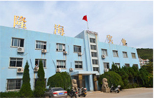 煙臺(tái)隆海造船有限公司