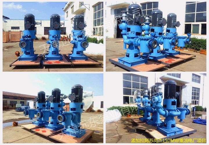 電廠項目雙螺桿泵